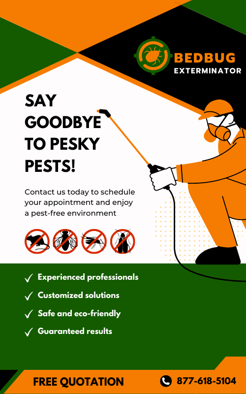 pest removal flyer