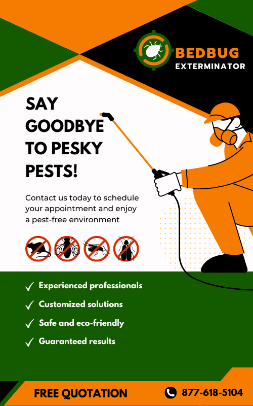 pest removal flyer
