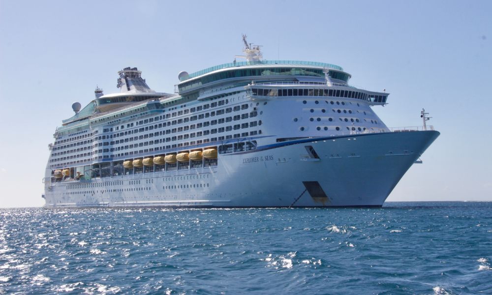 bed bugs on cruise ships