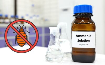 Can Ammonia Kill Bed Bugs?
